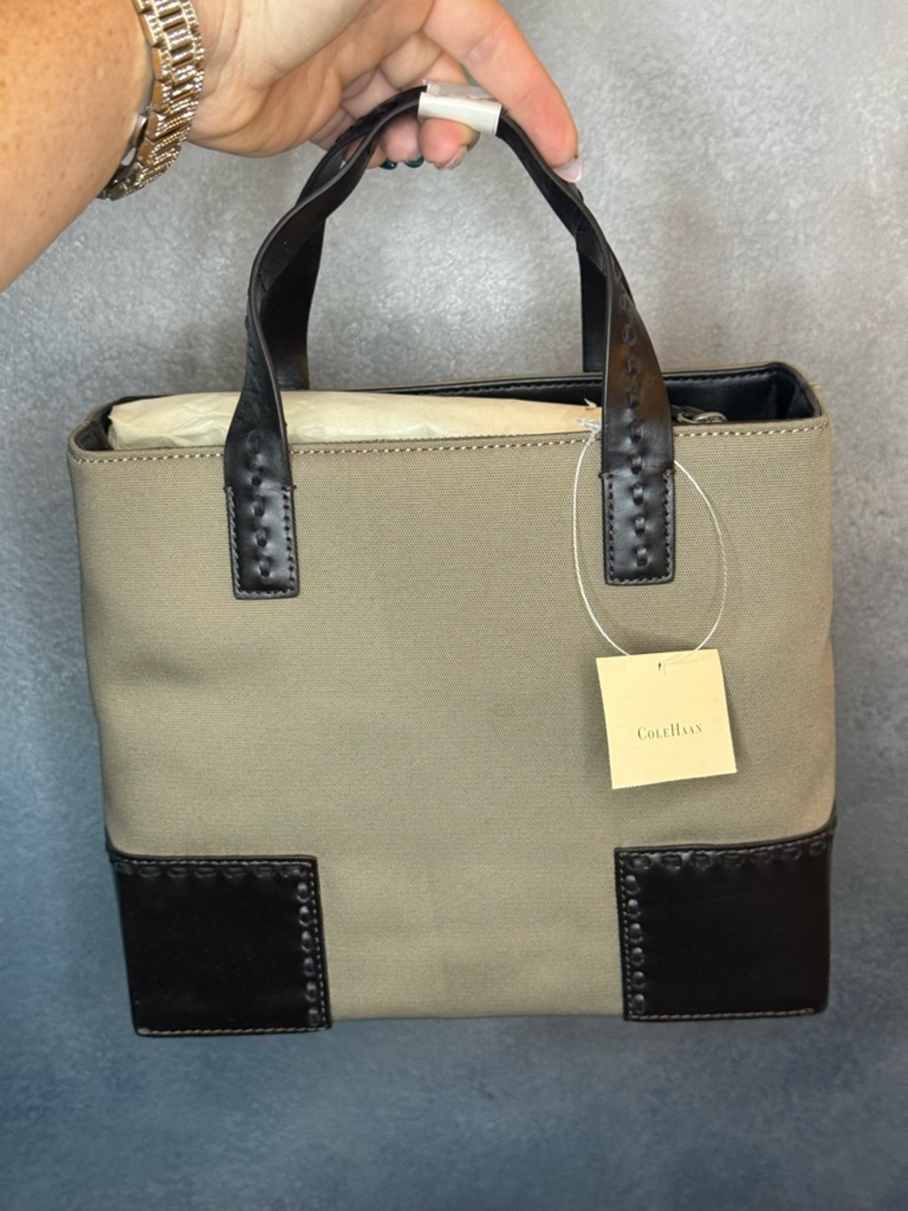 Cole Haan Small Shopper Mink/Chocolate Bag New
